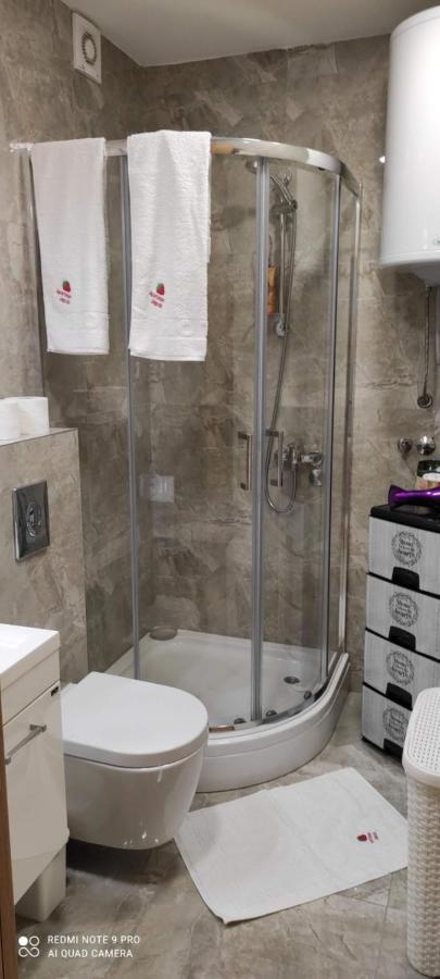 Zlatibor Apartman Jagoda ภายนอก รูปภาพ