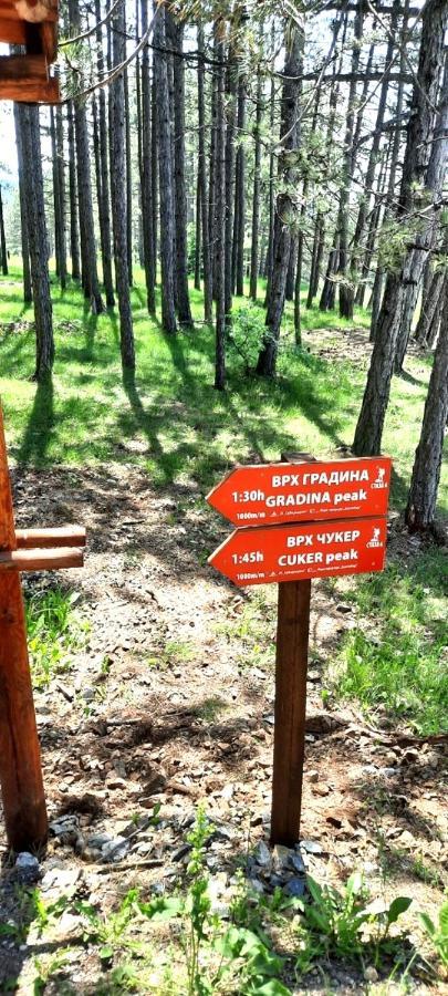 Zlatibor Apartman Jagoda ภายนอก รูปภาพ